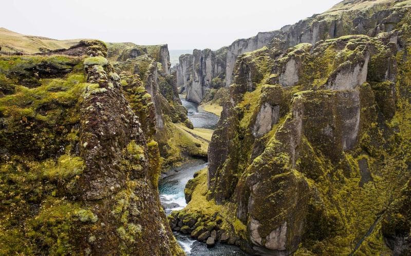 Mississauga's New 20cm Grass Law: How to Avoid the $305 Fine