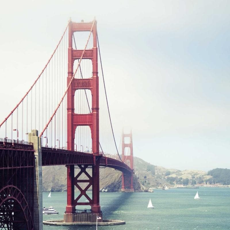 Credit Valley Backyard Oasis